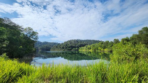 2023 Best Bird Watching Trails in Bukit Cherakah Forest Reserve | AllTrails