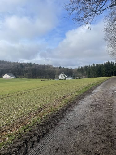 Bad Holzhausen: Limberg Bad Holzhausen