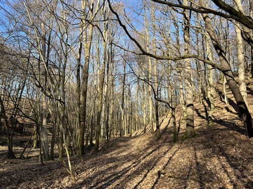 Hühndorf Runde