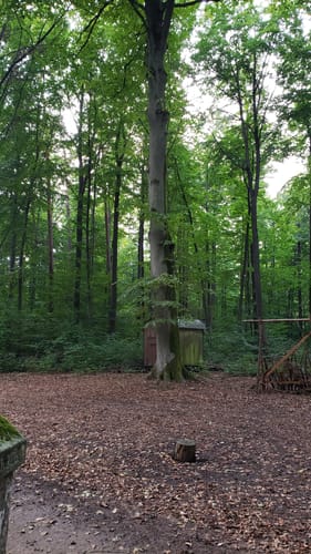 Rundweg Eltmann E3: Durch den Zeller Forst Ost zum Jägerhäuschen