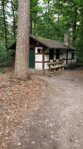 Rundweg Eltmann E3: Durch den Zeller Forst Ost zum Jägerhäuschen