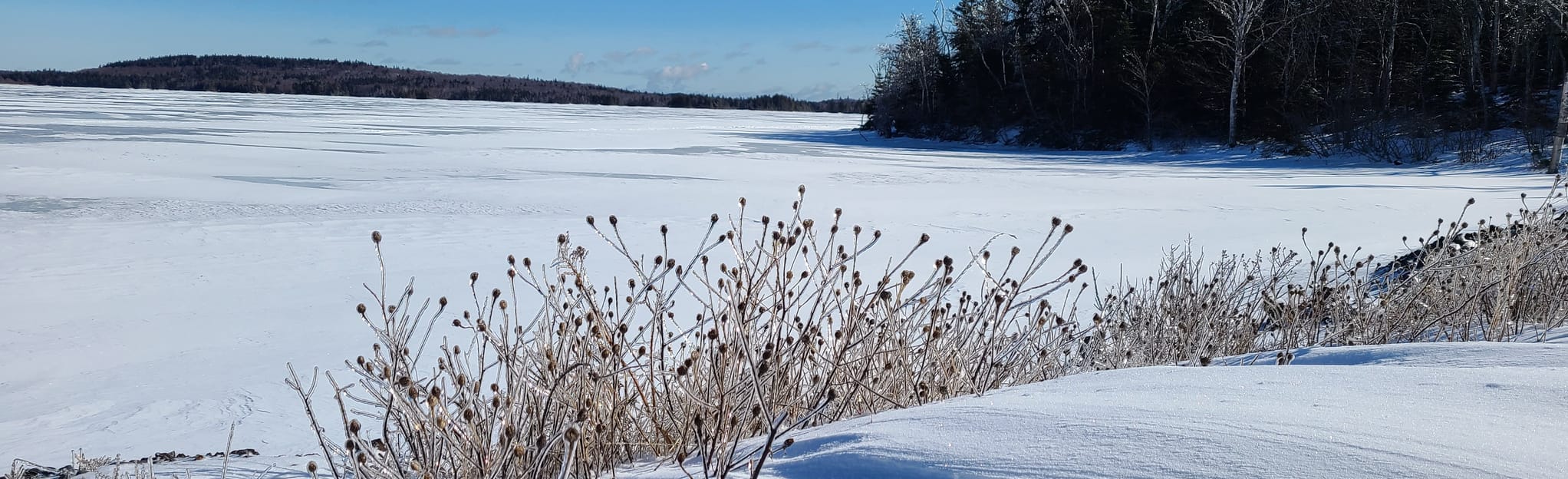 Spruce Lake Trail 29 Reviews, Map New Brunswick, Canada AllTrails