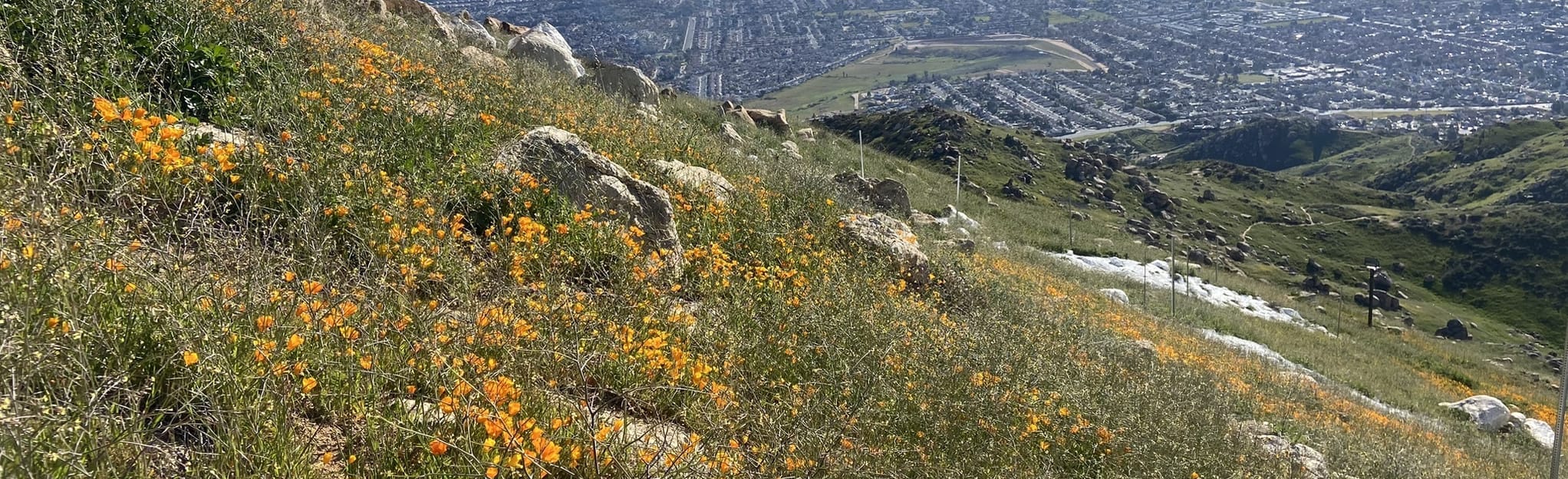 Box Springs Mountain Loop 130 Reviews, Map California AllTrails