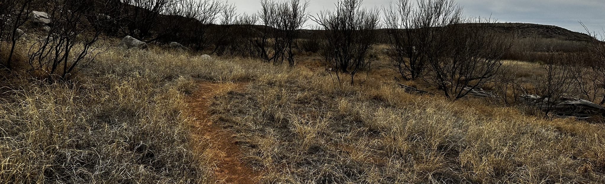 AllTrails South Turkey Creek Trail 56 Reviews, Map Texas