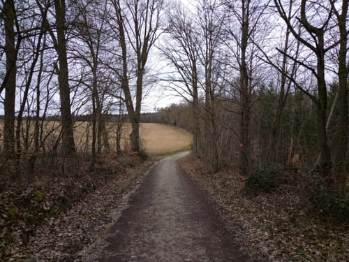 Kurzer Klosterholz Rundweg