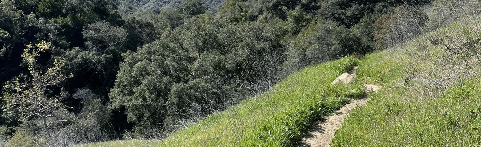 Hondo Canyon Backbone Trail 1040 Reviews, Map California AllTrails