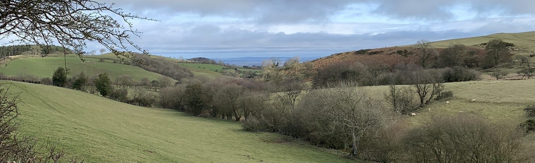 The Horseshoes Pulverbatch, Shropshire, England 16 Reviews, Map