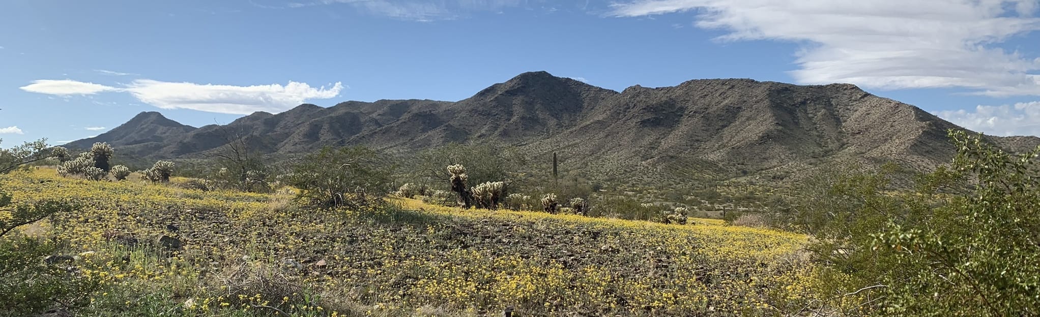 Ranger Trail from South Central, Arizona 420 Reviews, Map AllTrails