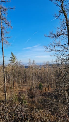 Keltenrundwanderweg
