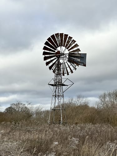 Best Hikes and Trails in Wheldrake Ings Nature Reserve AllTrails