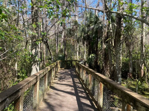 Best Hikes and Trails in Loxahatchee Wildlife Refuge | AllTrails