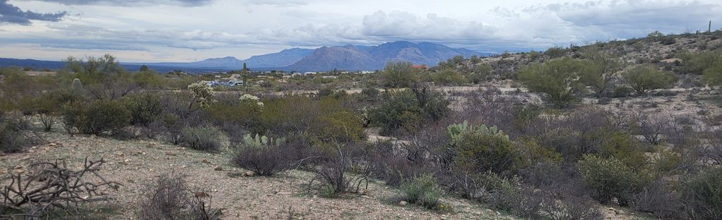 Saguaro Vista, Black Rock, Homestead and Oxbow Trail : 486 Reviews, Map -  Arizona | AllTrails