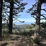 Sweeney Ridge Trail via Sneath Lane, California - 1,038 Reviews, Map ...