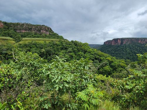 As melhores trilhas em Colniza, Mato Grosso (Brasil)