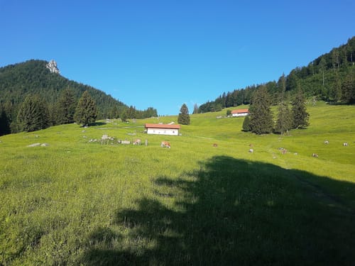Hochplattenbahn Rundwanderweg