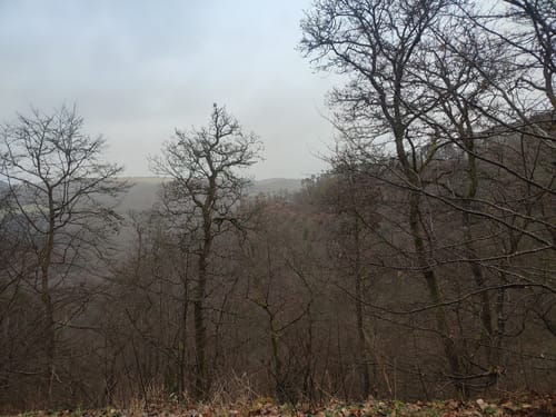 Rollstuhlwanderweg Mayen