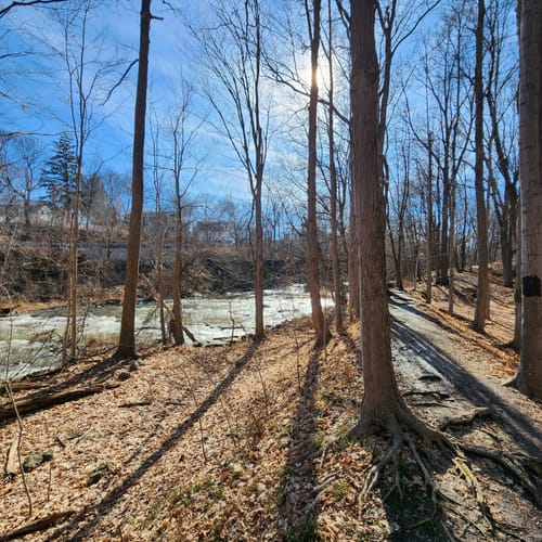 Best Hikes and Trails in Honeoye Falls Rotary Park AllTrails