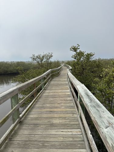 Best Hikes and Trails in Betty Steflik Preserve | AllTrails