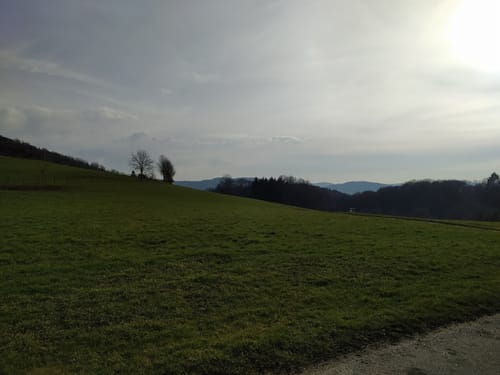 Rundwanderweg Gorxheimertal 9: Waldkopf-Weg