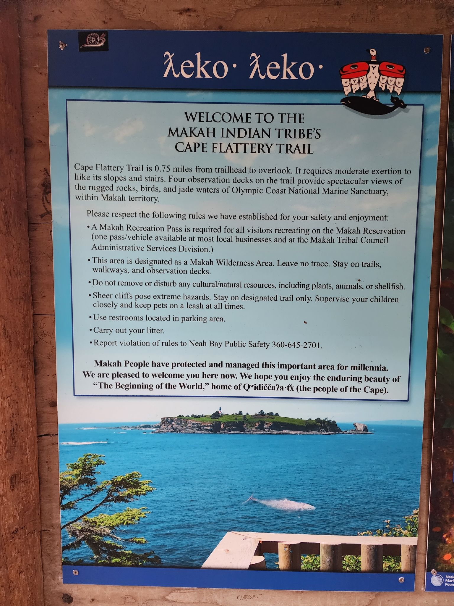 Photos of Cape Flattery Tribal Scenic Byway - Washington | AllTrails