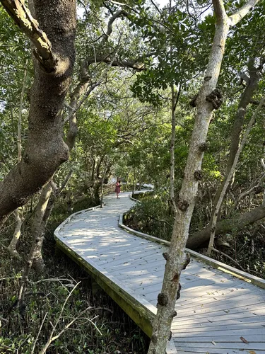 2023 Best Wild Flowers Trails in Longboat Key | AllTrails