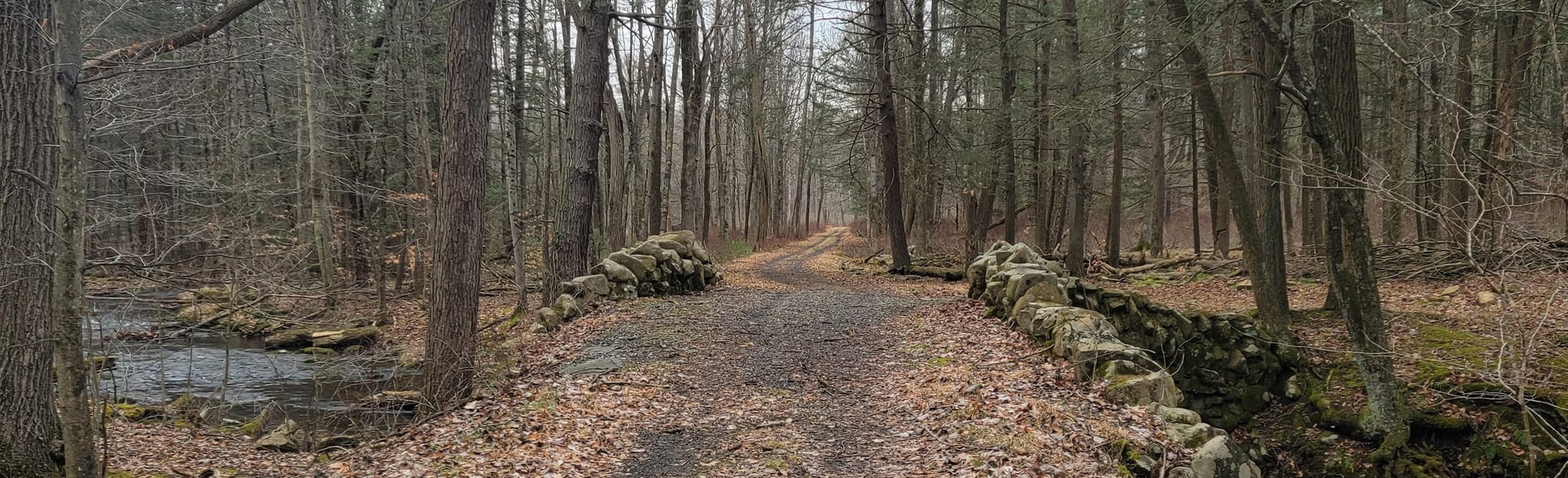 AllTrails Raccoon Mountain 143 Reviews, Map Pennsylvania