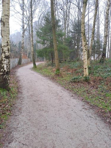 Zwischenahner Meerweg