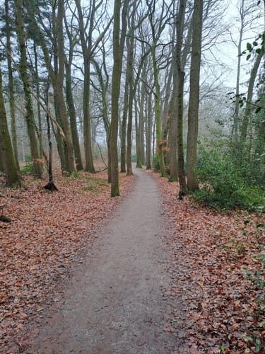Zwischenahner Meerweg
