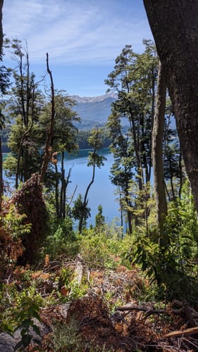 Best Hikes and Trails in Los Arrayanes National Park | AllTrails
