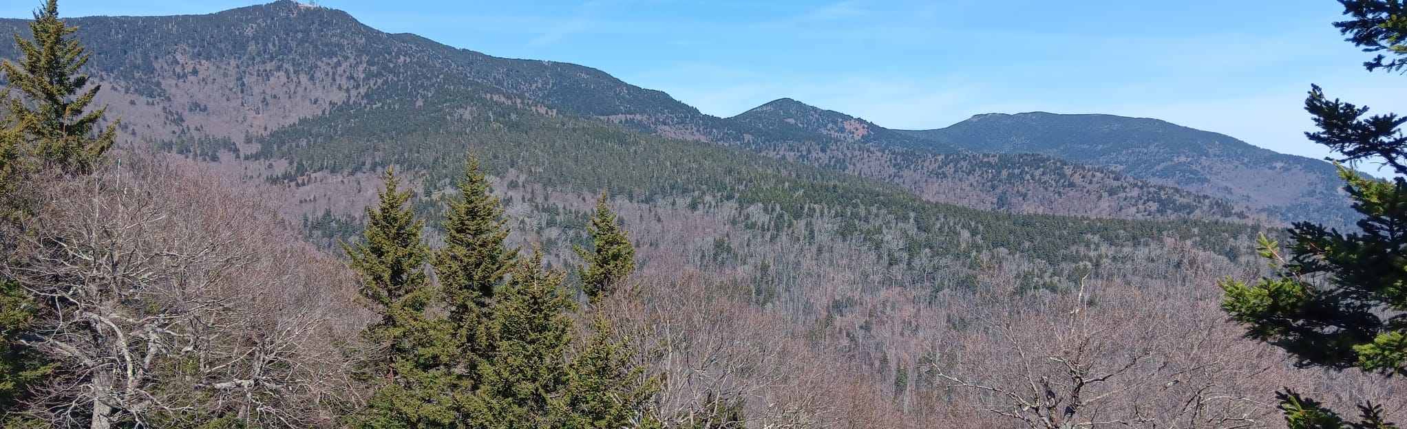 Bald Knob Ridge Trail, North Carolina 65 Reviews, Map AllTrails