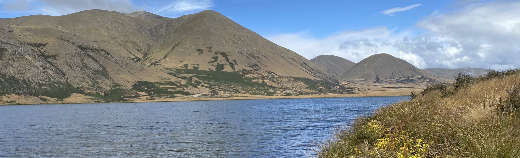Roundabout Lake Emma, Canterbury, New Zealand 10 Reviews, Map AllTrails