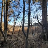 Scorton Creek Marsh Trail, Massachusetts - 53 Reviews, Map | AllTrails