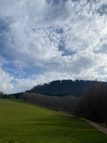 Waldstetten Nordic Walking Strecke 2