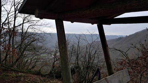 Borjer Ortsbachpädche (Moselsteig Seitensprung)