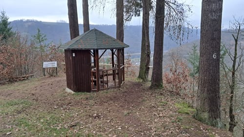 Borjer Ortsbachpädche (Moselsteig Seitensprung)