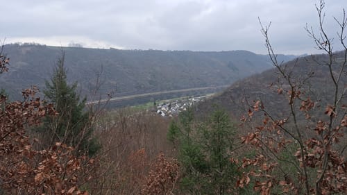 Borjer Ortsbachpädche (Moselsteig Seitensprung)