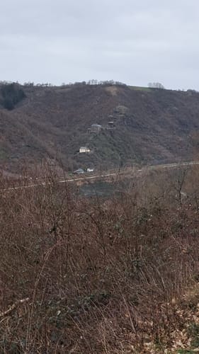 Borjer Ortsbachpädche (Moselsteig Seitensprung)
