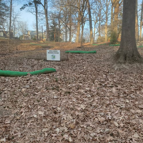 Best Hikes and Trails in Latta Park AllTrails