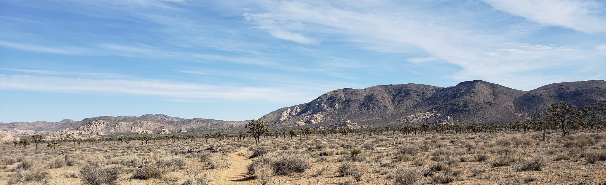 Quail Mountain via CA Riding and Hiking Trail and Stubbe Springs Trail ...