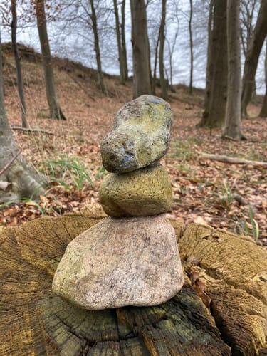 Stocksee und Nehmtener Forst