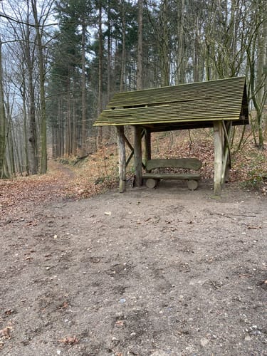 Stocksee und Nehmtener Forst