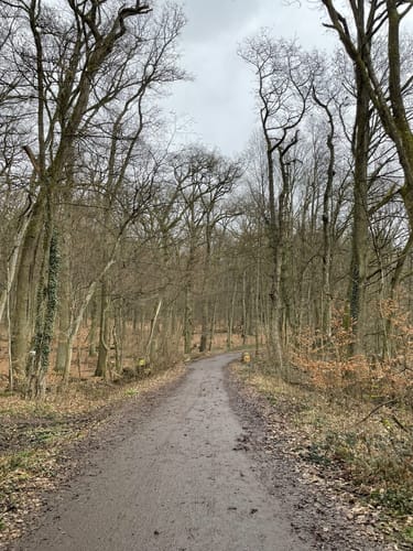Fasanerieweg ab Tier- und Pflanzenpark Fasanerie Wiesbaden