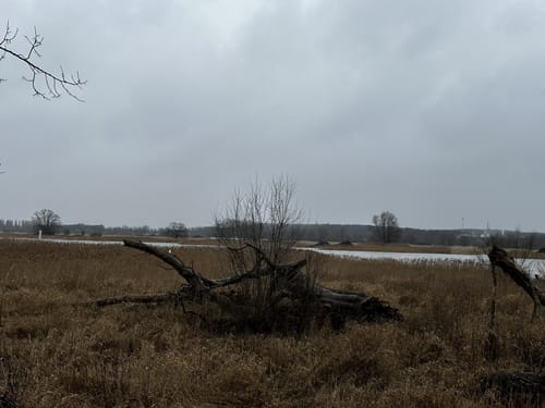Ziegenwerder Runde