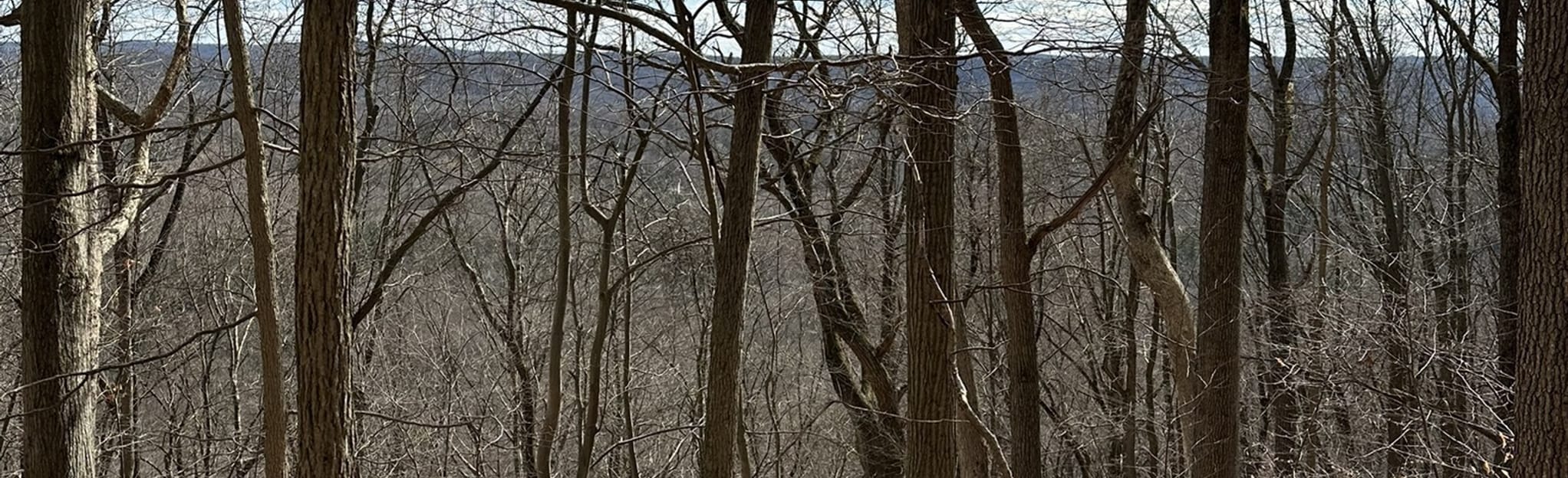 Roxbury Veteran's Park Green Trail 49 Reviews, Map New Jersey