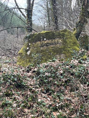 Erfenstein: Drei Burgenweg