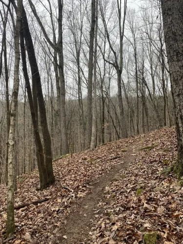 Best Hikes and Trails in Green Mountain Nature Preserve | AllTrails