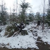 Tokul East Loop, Washington - 46 Reviews, Map | AllTrails
