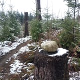 Tokul East Loop, Washington - 64 Reviews, Map | AllTrails