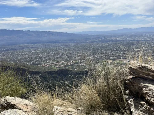 10 Best Trails and Hikes in Tucson