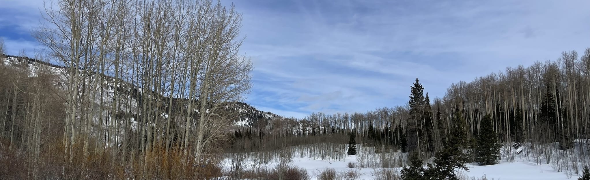 Sunshine Snowshoeing Trail 91 Reviews, Map Colorado AllTrails